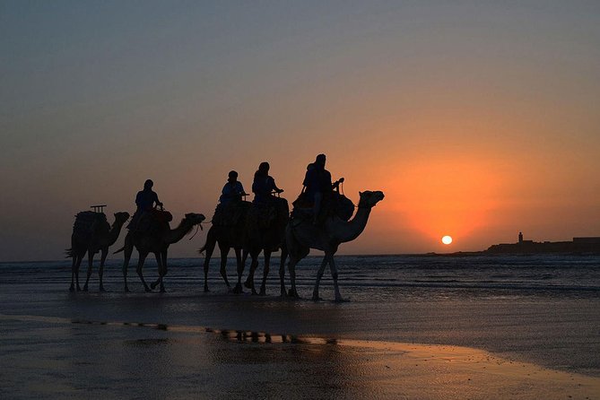 3 hours ride on camel at sunset - Who This Sunset Camel Tour Fits Best