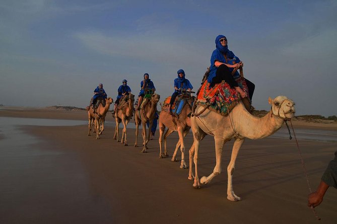 3 hours ride on camel at sunset - Small Group Pace, Real Hospitality: Guides Like Mostafa and Lima