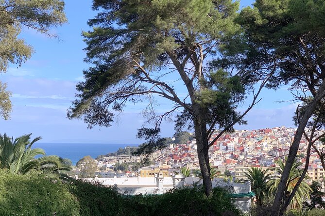 3h Private Walking Tour in Tangier Kasbah Medina & Colorful Souks - Price and value: what $58.16 buys you (and what to plan for)
