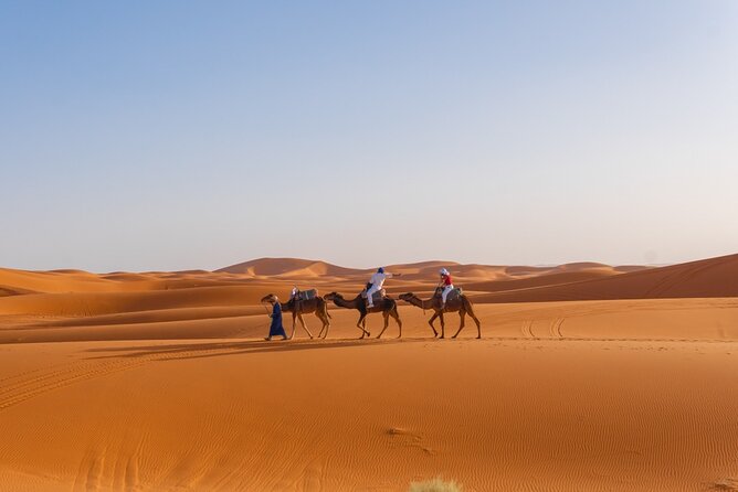 4 Day Authentic Desert Tour From Fes To Marrakech - Price and logistics: what $773.49 really buys you