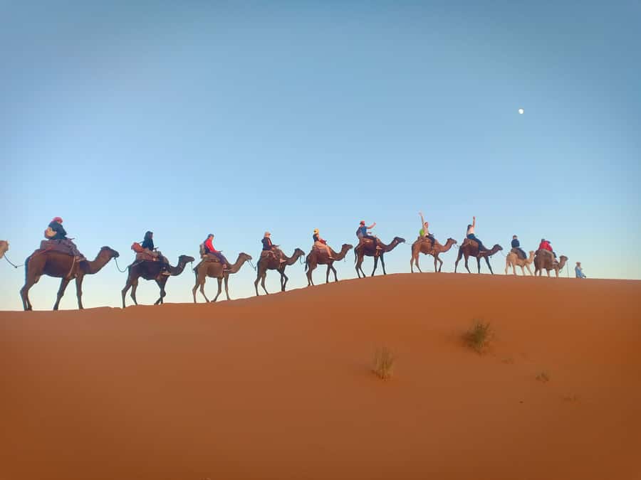 4-Day Marrakech to Merzouga Sahara Adventure & Camel Trek - Practical Tips for Comfort: Shoes, Warm Layers, and Water Planning