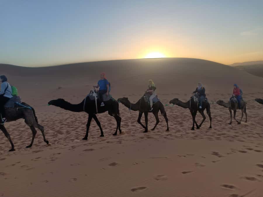 4-Day Marrakech to Merzouga Sahara Adventure & Camel Trek - The Return to Marrakech on Day 4: One Last Atlas Pass Drive