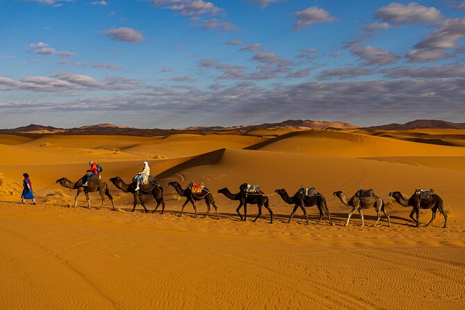 4 Days Desert Safari Tour from Marrakech to Merzouga - Key Points You Should Care About