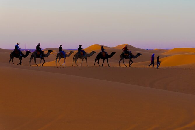 4 Days Desert Safari Tour from Marrakech to Merzouga - Tinghir and Todra Gorge: Palm Groves Before You Reach Erg Chebbi