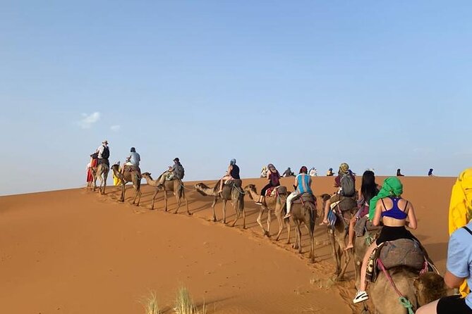 4 Days Desert Tour From Marrakech to Fes via Merzouga Dunes - Day 4: Camel return, quick shower, then Ziz Valley to Fes via Ifrane