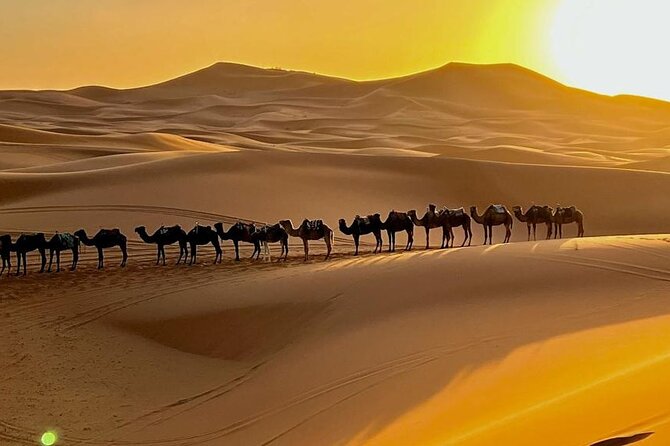 4 Days Desert Tour From Marrakech to Fes via Merzouga Dunes - Day 2: Todra Gorges to Merzouga, then camels into the dunes