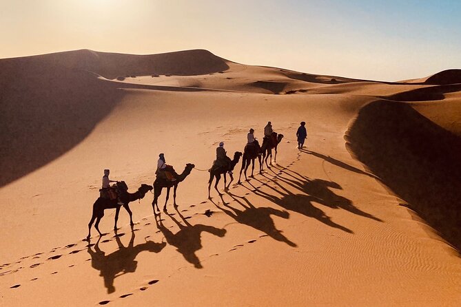 4-Days private desert tour from Marrakech - Day 1: High Atlas Crossing, Ait-Ben-Haddou, and Skoura Oasis Calm