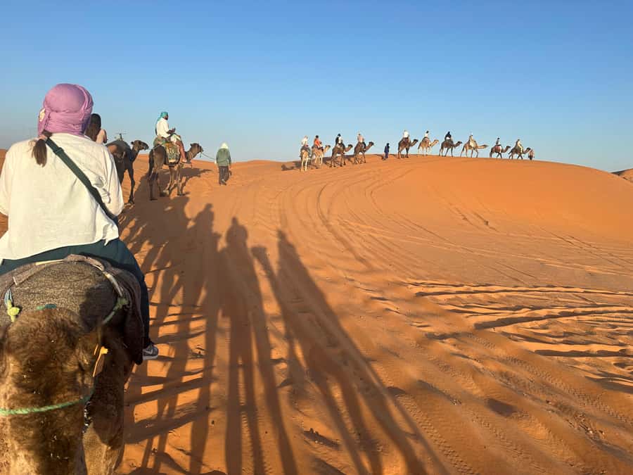 4 days Sahara Desert Tour From Marrakech To Merzouga dunes - Key highlights you should care about