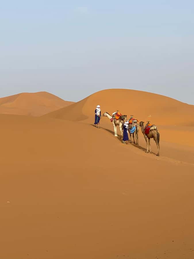 4 days Sahara Desert Tour From Marrakech To Merzouga dunes - Why this Marrakech to Merzouga route feels like a full Morocco hit