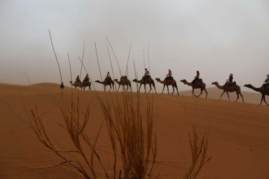 4 days Sahara Desert Tour From Marrakech To Merzouga dunes - Ait Ben Haddou Kasbah, UNESCO walls, and what the local guide adds