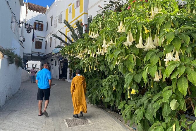 4 hour private Tour of Tangier - Kasbah Hill, Dar el Makhzen, and the Independence Square