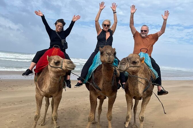 4-hour Private Tour of Tangier - Pickup and the Mohamed Ali or Abdullah guide day flow