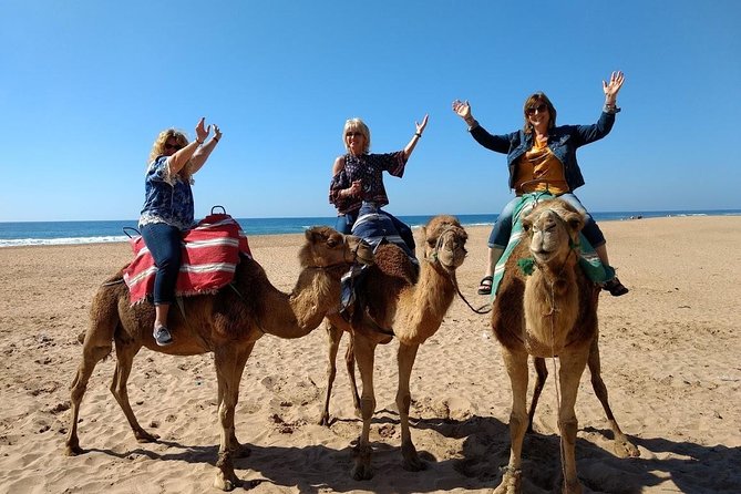 4 Hour Tangier City Private Tour - Parc Perdicaris: a green pause with an old kidnapping story