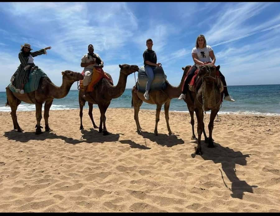 4 Hours Deluxe Guided Tour of Tangier + A tour with camels - The Kasbah of Tangier: hilltop alleys and a panoramic payoff