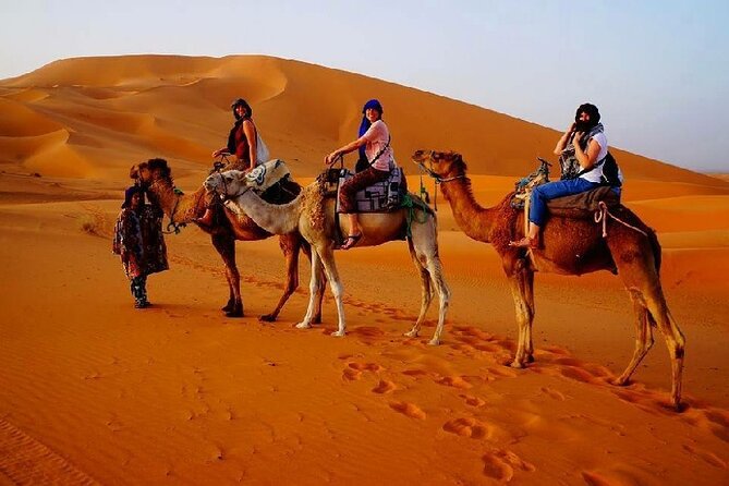 7 Days Luxury Desert Tour From Casablanca to Marrakech via fez -Camel trekking - Day 4 Todra Gorge Kasbahs To Dades Valley: The Gorge Walk Day