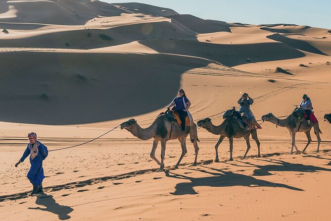 7 Days Luxury Desert Tour From Casablanca to Marrakech via fez -Camel trekking - Day 6 Marrakech Highlights With A Local Guide: Palaces, Gardens, And Jamaa el Fna Nights