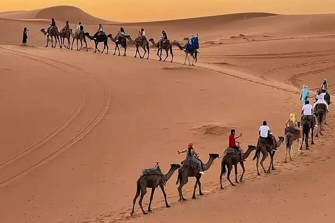 7 days Tour from Tangier to Marrakech Morocco Tours - Day 2: Volubilis Roman ruins, Meknes walls, then straight to Fes
