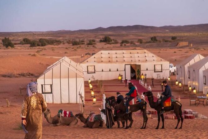 8 Days Morocco Private Tour; Imperial Cities and the Desert - Fez’s medina walking day: a plan that saves your feet