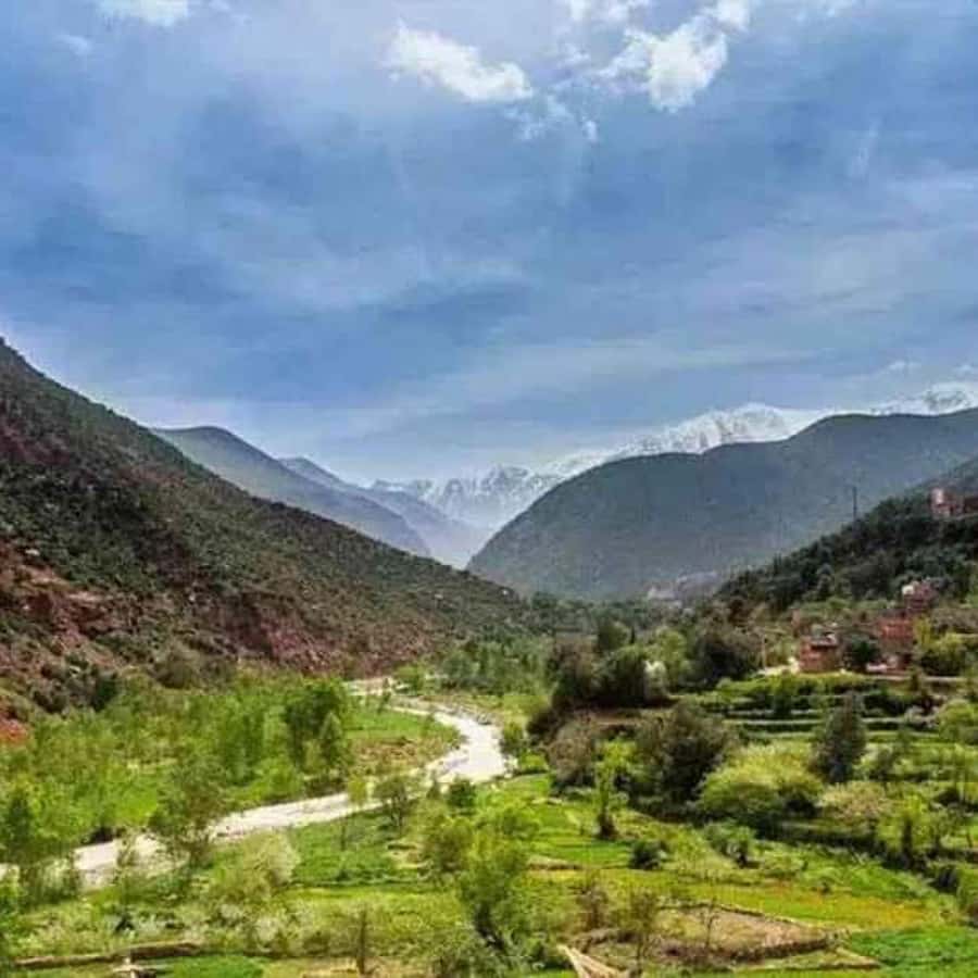 A Day With The Berbers - 3 Valleys Day Trip from Marrakech - Lunch in a family-run guesthouse with fire-cooked bread and mountain views