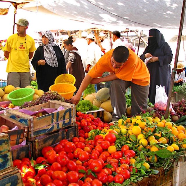 A Day With The Berbers - 3 Valleys Day Trip from Marrakech - Price and value: why $17 can make sense, and when it might not