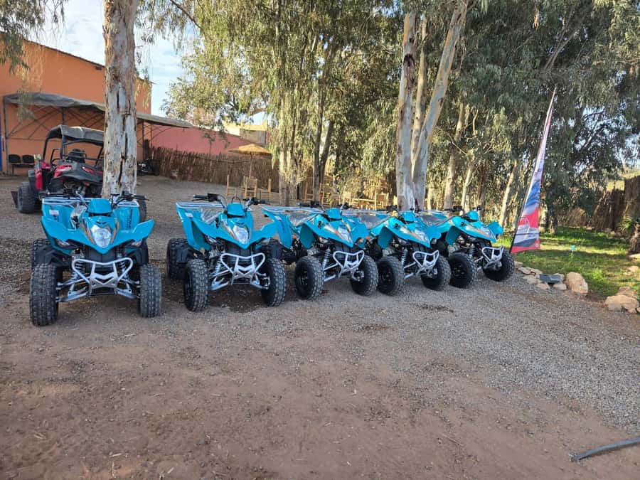 Agadir : 2 h Quad biking excursion with moroccan tea - Quick hits