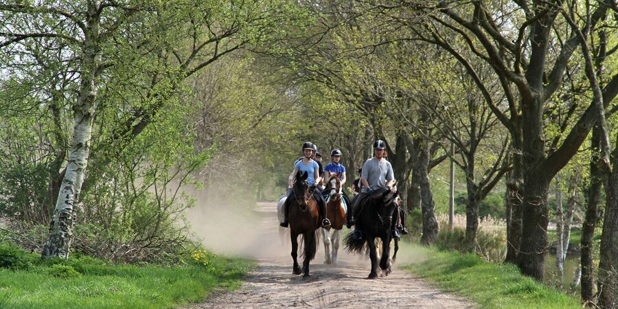 Agadir 2hours Horse Riding visite the flamingo river - Price and value: is $22 a fair deal?