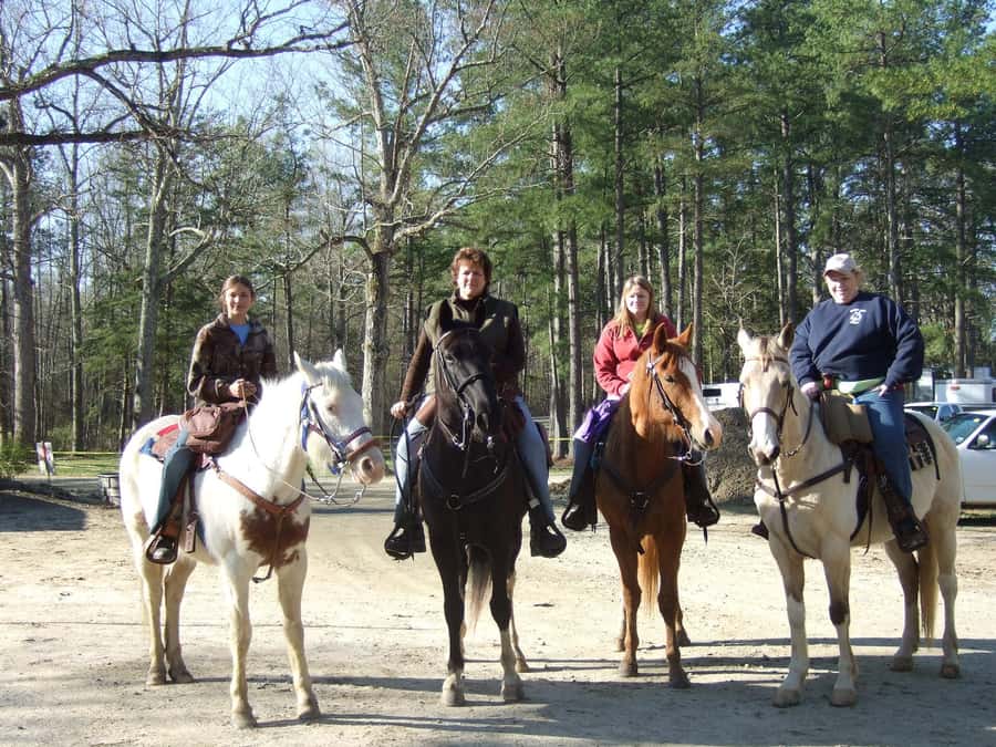 Agadir 2hours Horse Riding visite the flamingo river - Who should book this ride, and who should skip it
