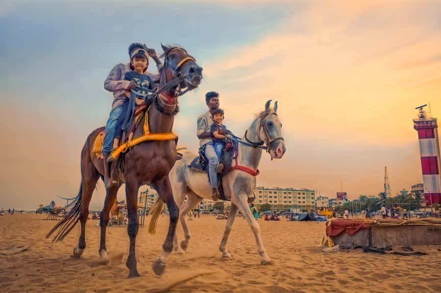 Agadir 2hours Horse Riding visite the flamingo river - Hotel pickup, tea, and what the start feels like