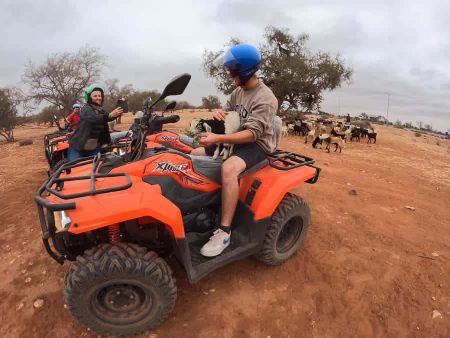 Agadir: Agafay Desert Quad Biking With Goats On The Tree - Agadir to Agafay: Why the Atlas-area drive matters