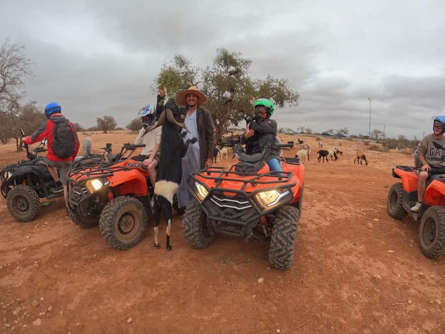 Agadir: Agafay Desert Quad Biking With Goats On The Tree - Price and value: what $31 gets you in the real world