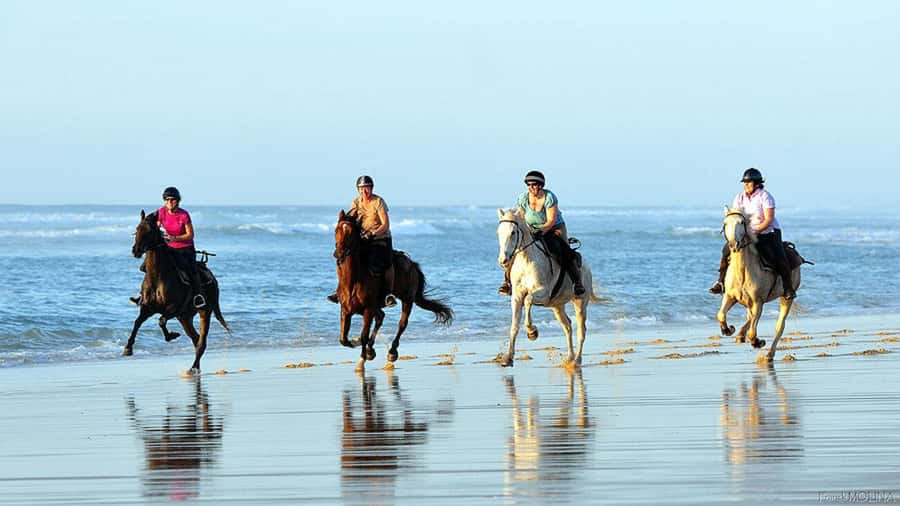 Agadir and Taghazout: 2-Hour Horseback Ride on the Beach - Key things that make this beach ride work