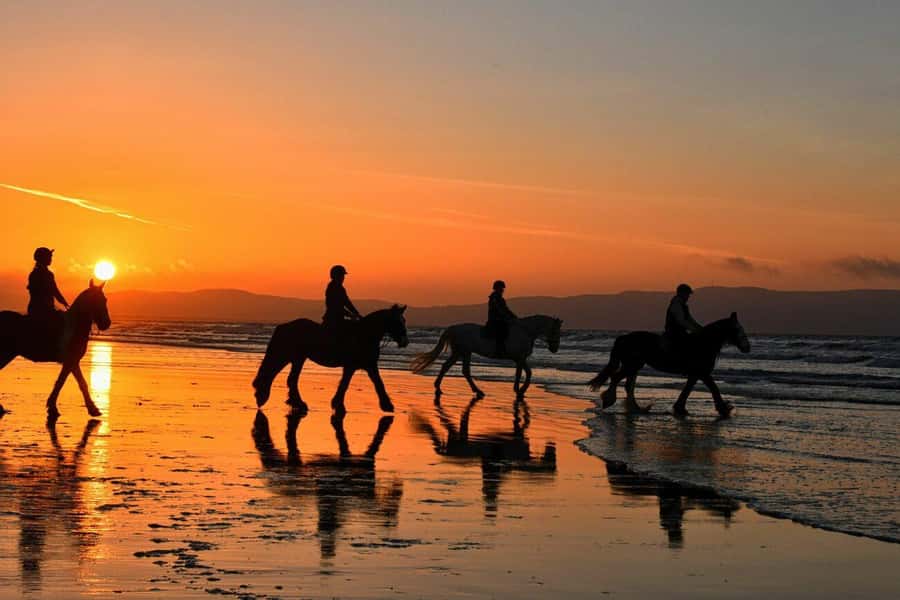 Agadir and Taghazout: 2-Hour Horseback Ride on the Beach - Entering the world of Agadir and Taghazout beach horses