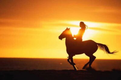2-Hour Horseback Ride on the Beach
