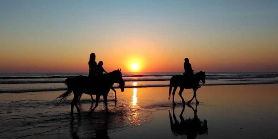 Agadir and Taghazout: 2-Hour Horseback Ride on the Beach - شاطئ أورير: the photo stop where the coast does the talking