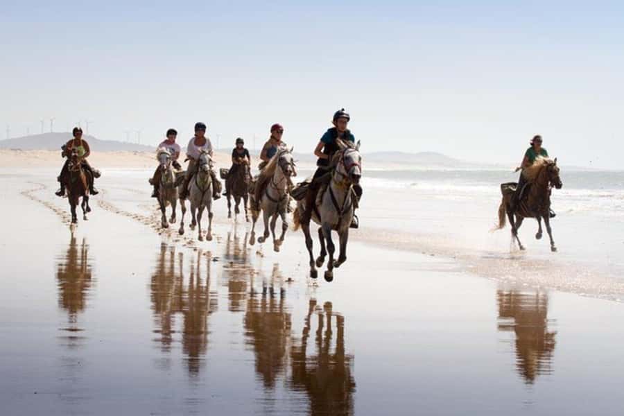 Agadir and Taghazout: 2-Hour Horseback Ride on the Beach - Guides and horse care: why the ride feels safe and personalized