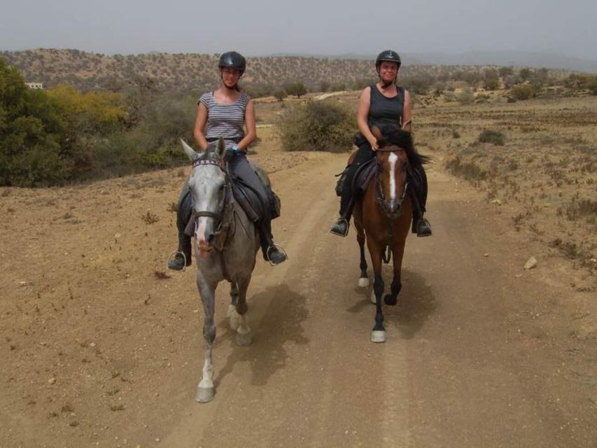 Agadir and Taghazout: 2-Hour Horseback Ride on the Beach - Price check: what $176 buys you in real terms