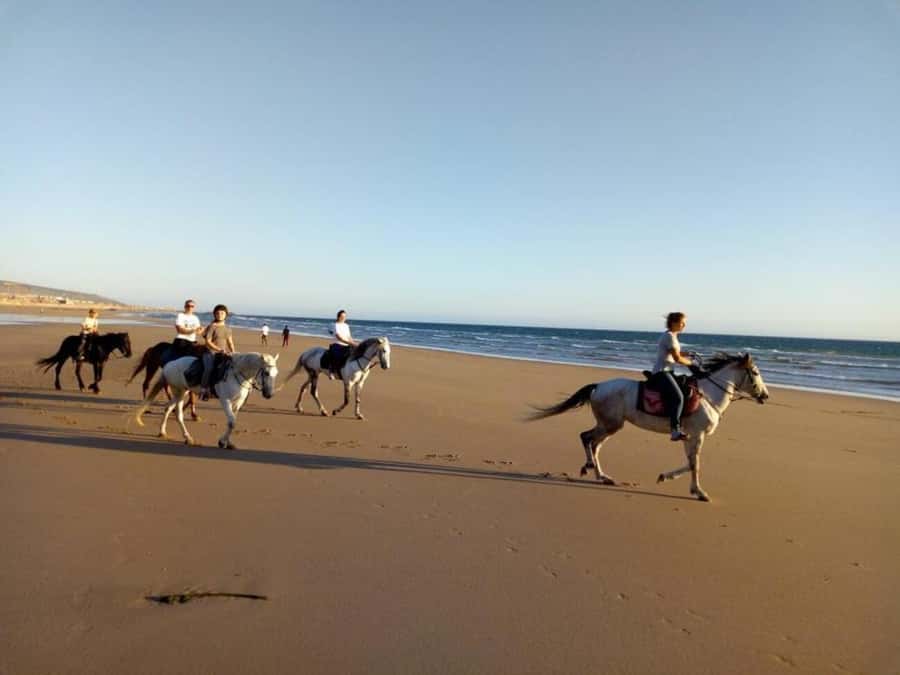 Agadir and Taghazout: 2-Hour Horseback Ride on the Beach - Best time to ride: sunrise vs sunset along the Atlantic
