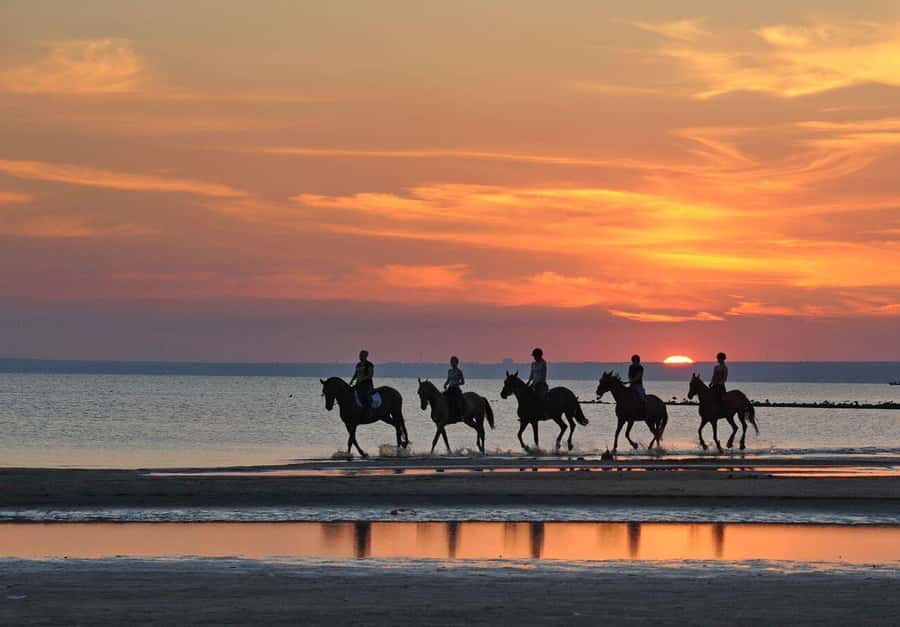 Agadir and Taghazout: 2-Hour Horseback Ride on the Beach - Who should book this ride, and who should consider another option