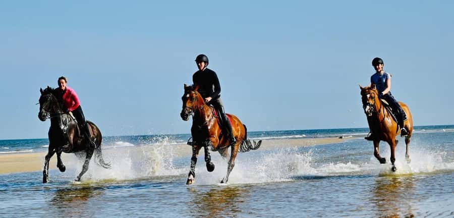 Agadir and Taghazout: Morning Horse Ride on The Beach - Languages and guide vibe: English, French, and real patience