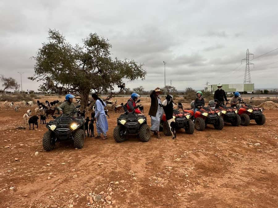Agadir: ATV Quad Biking and Goats On Argan Trees with Tea - Price and value: is $19 fair for this kind of day?