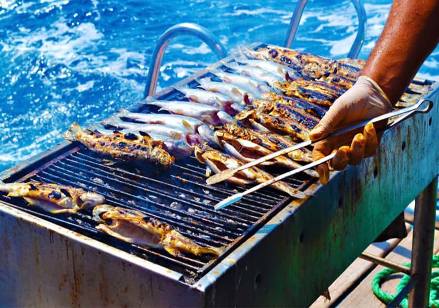 Agadir: Boat Trip with Fishing, Swimming, and BBQ Lunch - Return to Port by 3:00 PM: Easy End to a Structured Half-Day