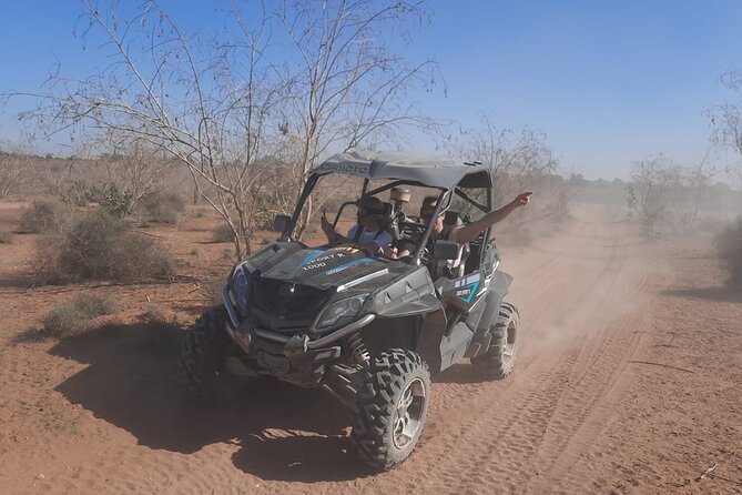 Agadir Buggy Safari Adventure - The Route: Dry Riverbeds, Argan Tree Areas, and Berber Farmland