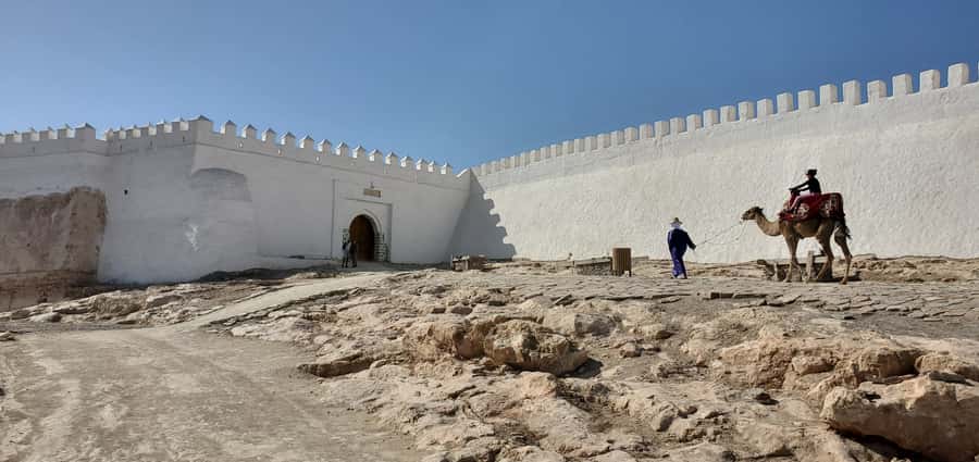 Agadir: Cable Car Ticket and Guided City Tour - Guides make it: examples of what good guiding looks like here