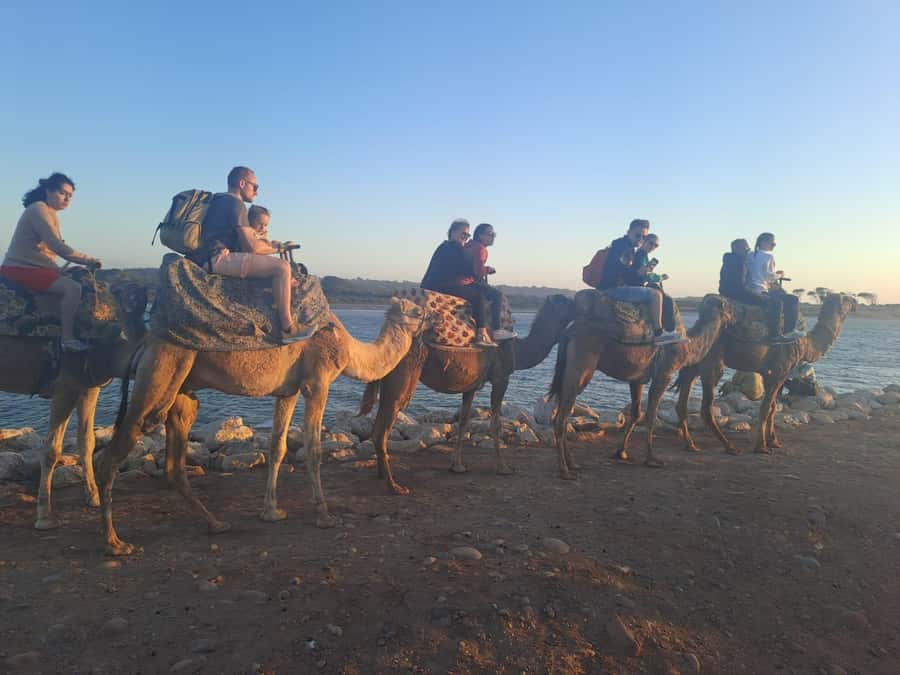 Agadir: Camel or Horse Ride + BBQ & Transfer Sunset Optional - AC Limousine Pickup From Agadir, Then Straight to the Trail