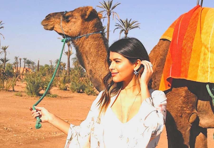 Agadir: Camel Ride Experience With Dinner Option - Tea Break and the Dinner Option, What to Expect from the Meal