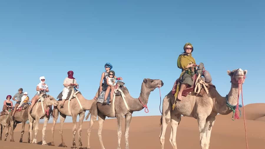 Agadir: Camel Ride Experience With Dinner Option - Comfort Tips That Make a Camel Ride Go Smoothly