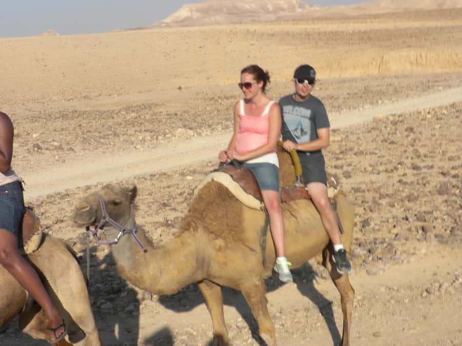 Agadir Camel Ride Flamingo River & BBQ Dinner - Key Points Worth Knowing