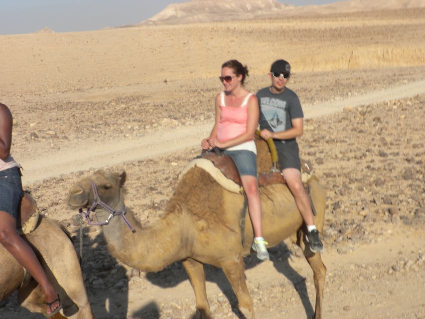 Agadir Camel Ride Flamingo River & BBQ Dinner - When the Route Feels Too Standard (And When It Does Not)