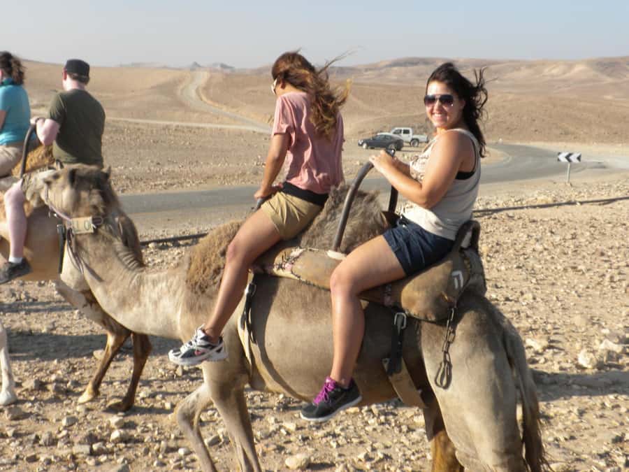 Agadir Camel Ride Flamingo River & BBQ Dinner - From Hotel Pickup to the Camp Outside Agadir