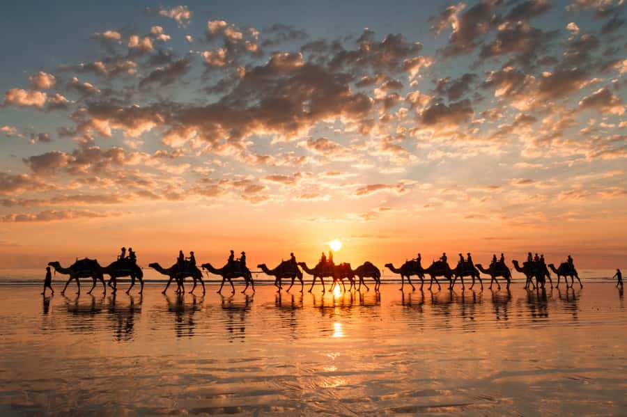Agadir: Camel Ride With Tea - Key things to know before you go